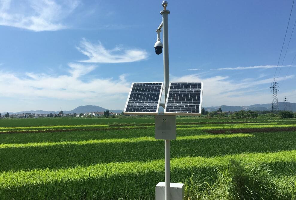 Intelligent Irrigation Management System